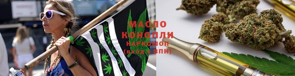 гидра Каменногорск