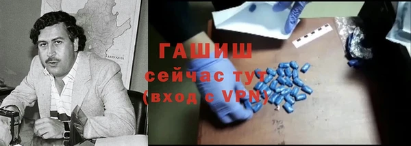 гидра Каменногорск