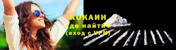 гидра Каменногорск