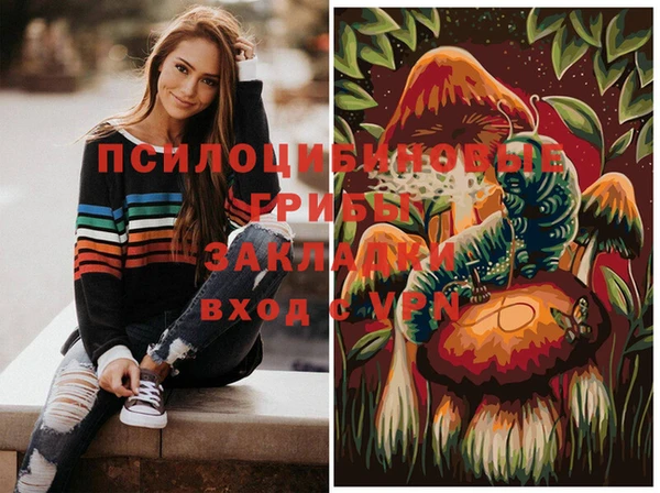 МДМА Каменка