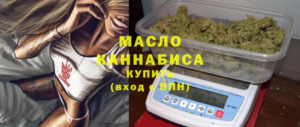 гидра Каменногорск