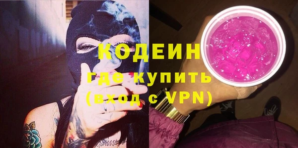гидра Каменногорск