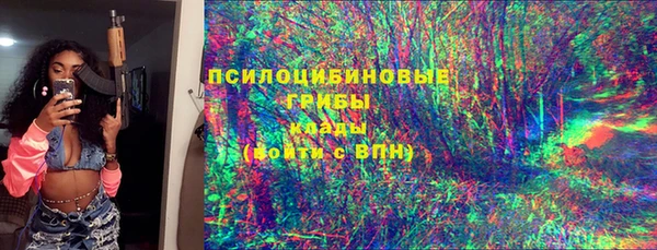 гидра Каменногорск