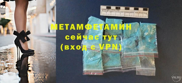гидра Каменногорск