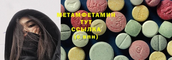 гидра Каменногорск