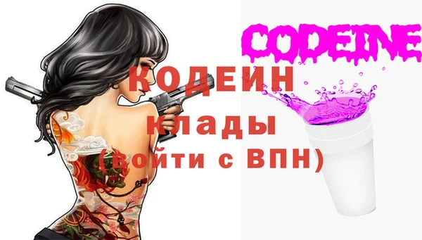гидра Каменногорск